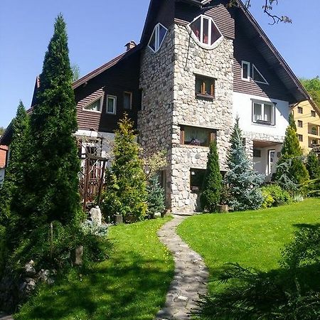 Pension Casa Contelui Ришнов Екстер'єр фото
