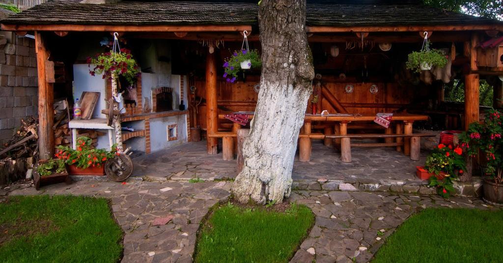 Pension Casa Contelui Ришнов Екстер'єр фото