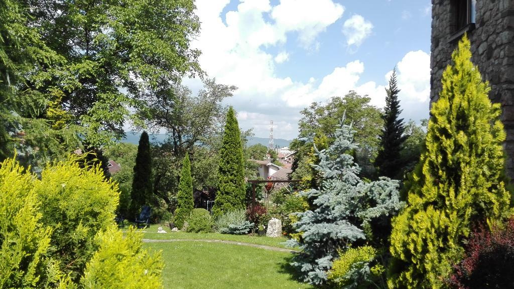 Pension Casa Contelui Ришнов Екстер'єр фото