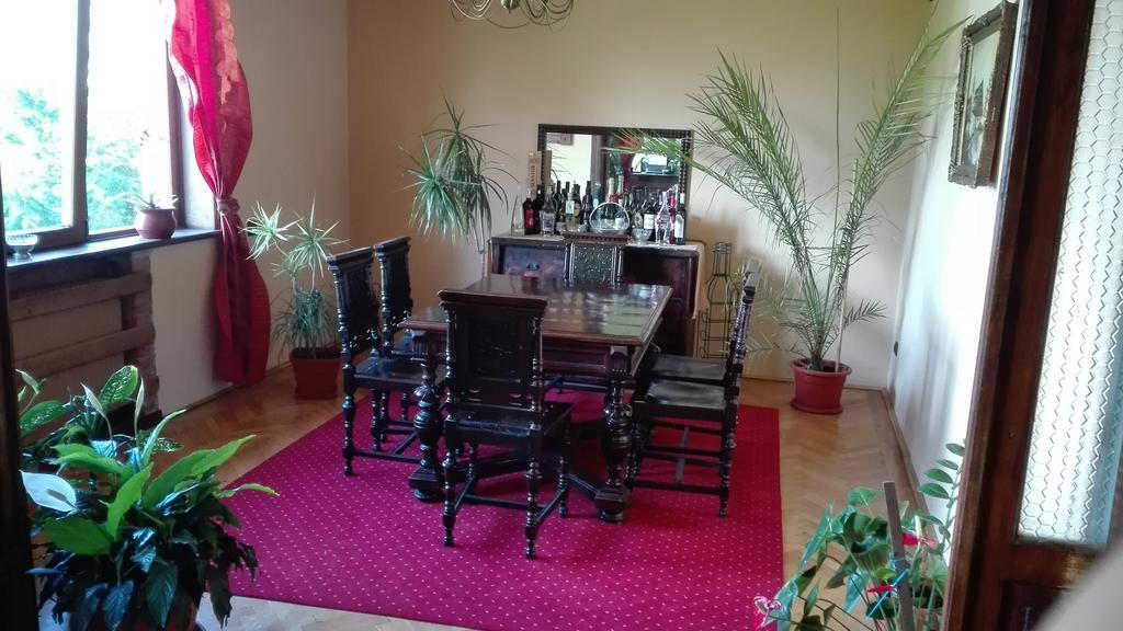 Pension Casa Contelui Ришнов Екстер'єр фото