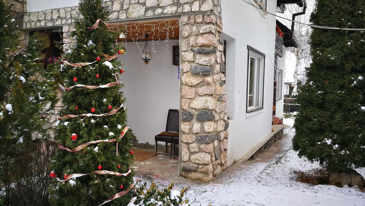 Pension Casa Contelui Ришнов Екстер'єр фото