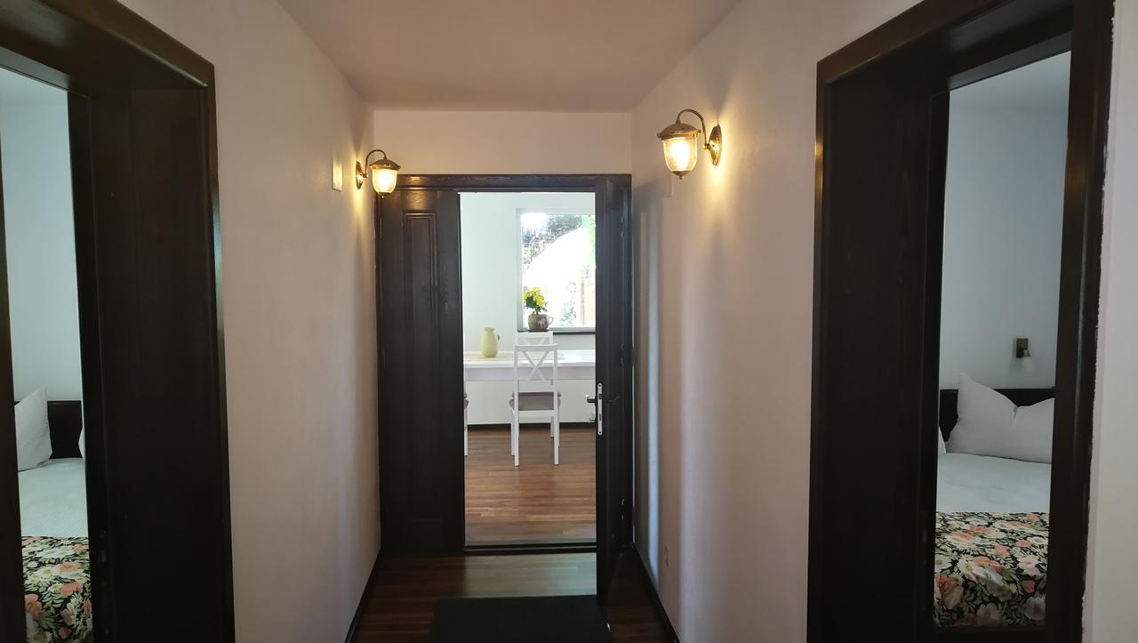 Pension Casa Contelui Ришнов Екстер'єр фото